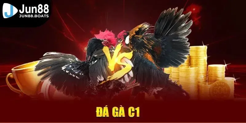 Jun88 | Tất Cả Những Điều Anh Em Cần Biết Về Đá Gà C1 Khi Gia Nhập