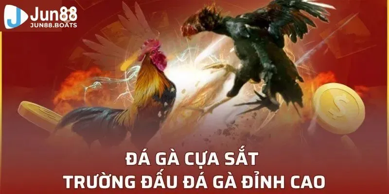 Jun88 | Kinh Nghiệm Đá Gà Cựa Sắt Từ Cao Thủ Số 1 Thị Trường
