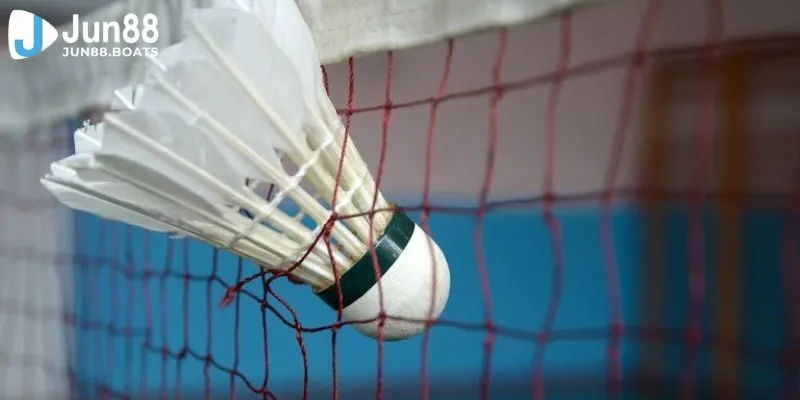 Jun88 | Phương Pháp Cá Cược Cầu Lồng Giúp Bet Thủ Thắng Lớn